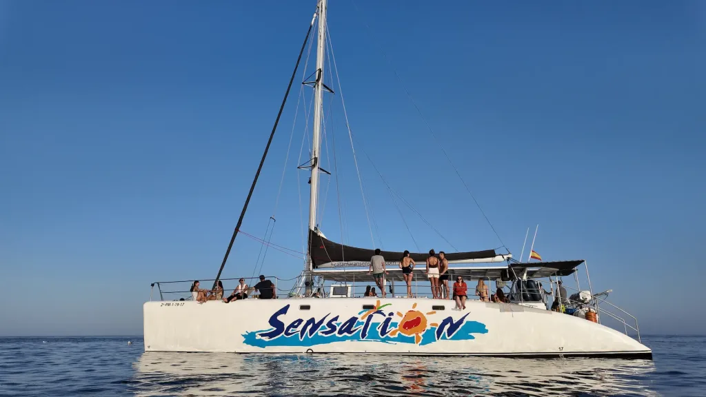 Catamaran DJI