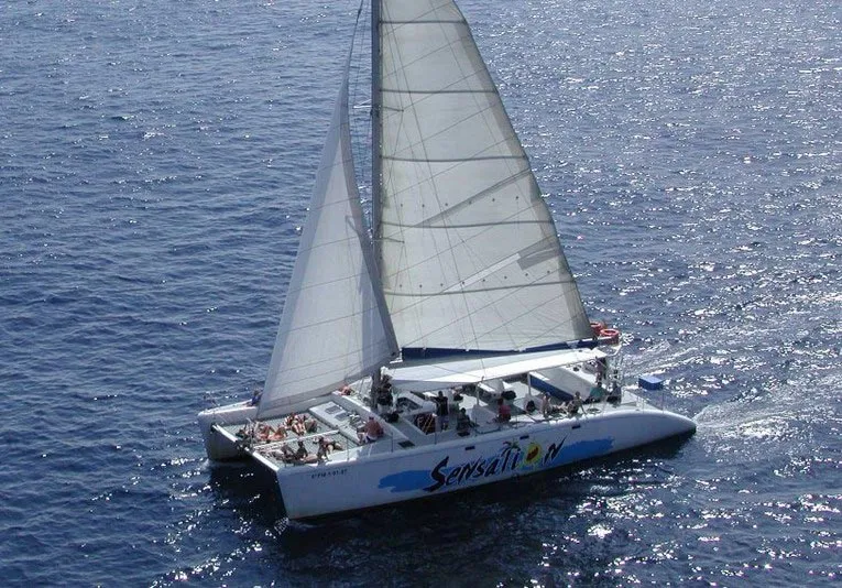 Catamaran sailing at sea